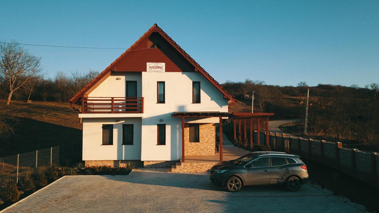 Pensiunea Agroturistica Havanna Zalău Zewnętrze zdjęcie