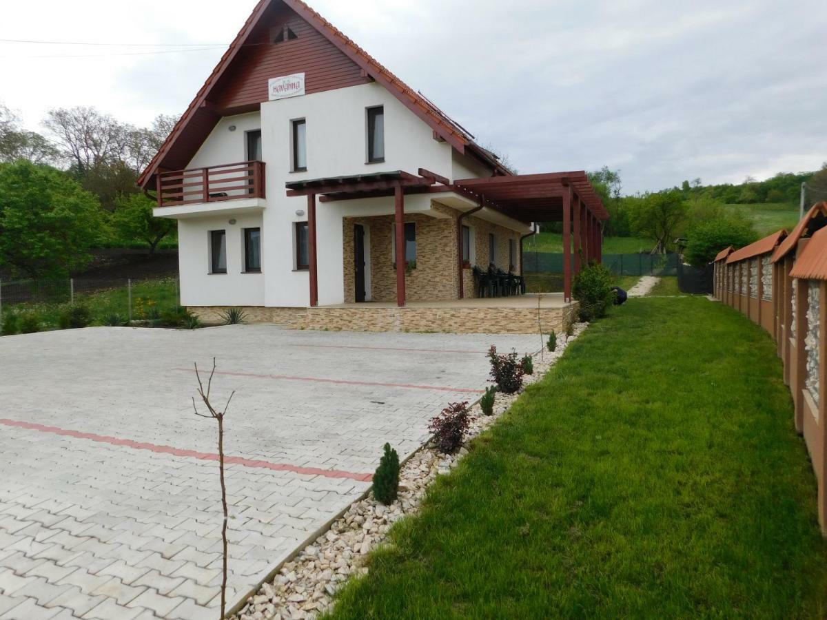 Pensiunea Agroturistica Havanna Zalău Zewnętrze zdjęcie